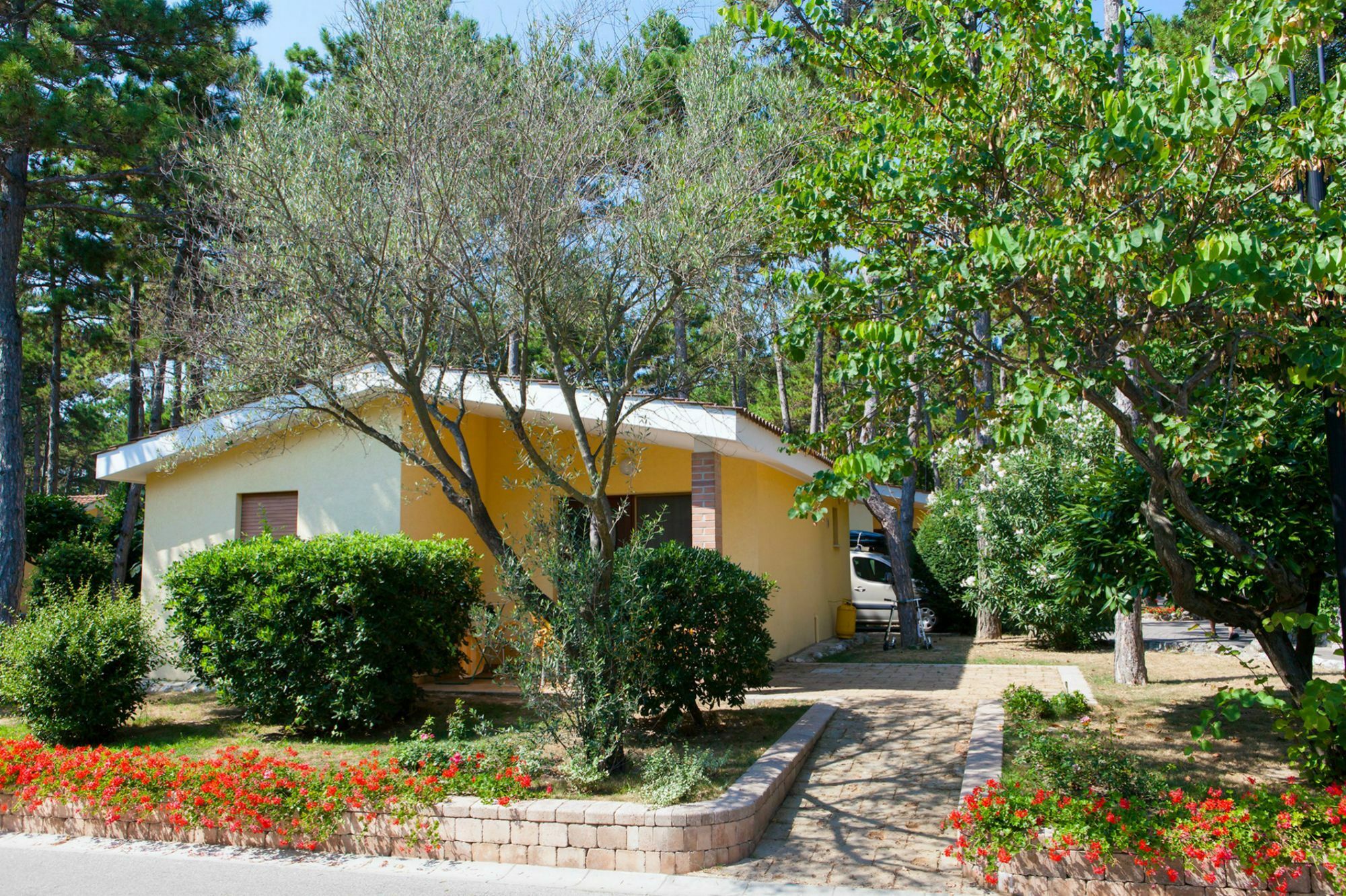 ביביונה Villaggio Turistico Internazionale מראה חיצוני תמונה