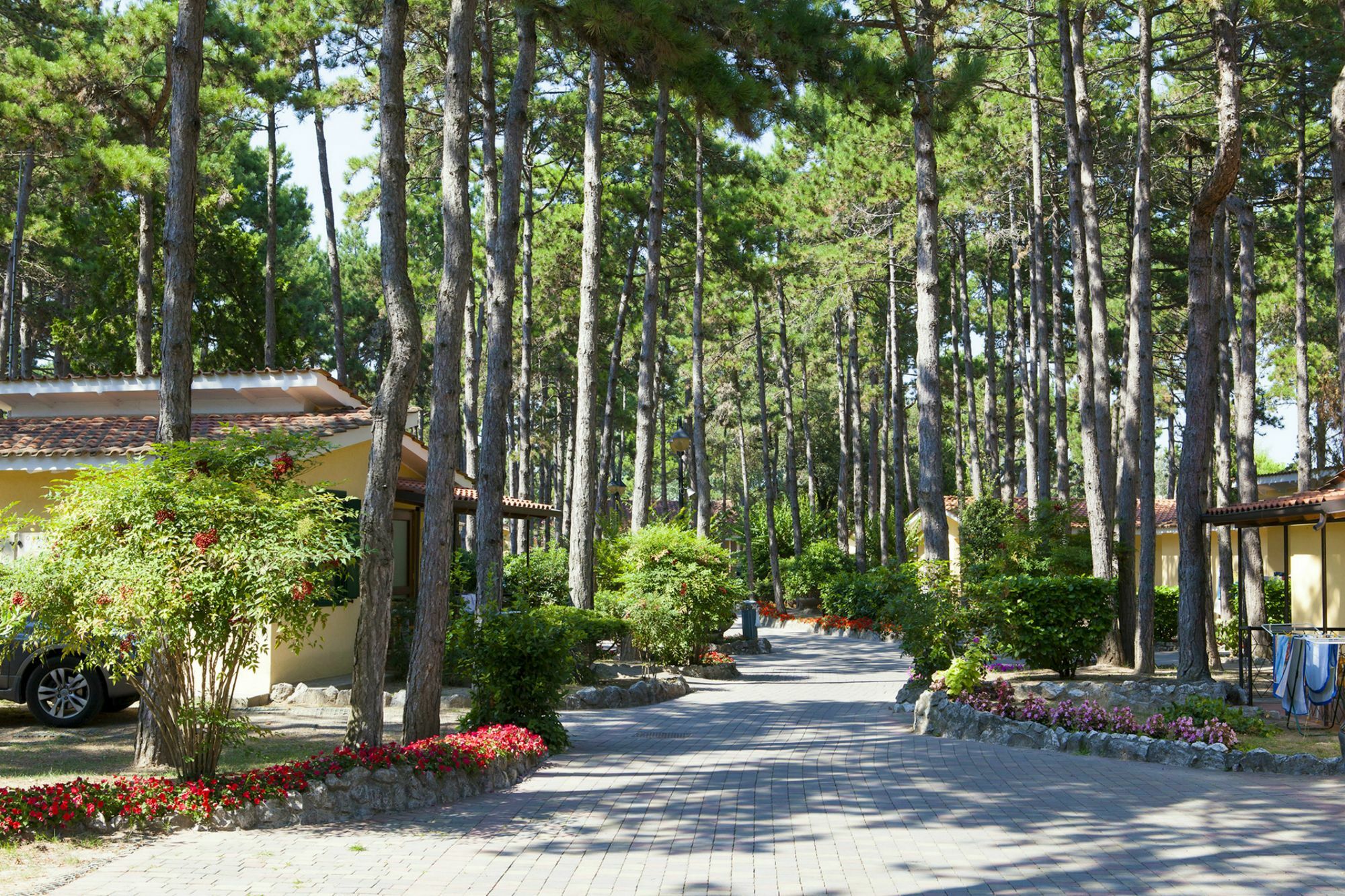 ביביונה Villaggio Turistico Internazionale מראה חיצוני תמונה